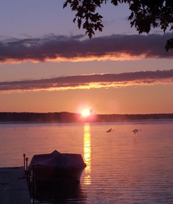 Sunrise Swans on Black Lake